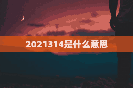 2021314是什么意思(2021314是什么意思爱情)